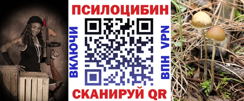 Псилоцибиновые грибы GOLDEN TEACHER  купить наркоту  Реутов 
